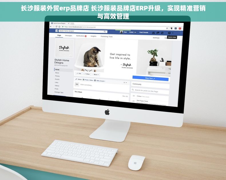 长沙服装外贸erp品牌店 长沙服装品牌店ERP升级，实现精准营销与高效管理