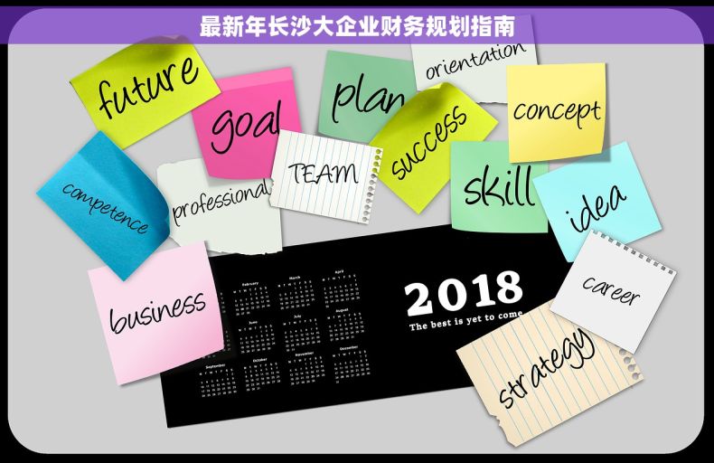 最新年长沙大企业财务规划指南