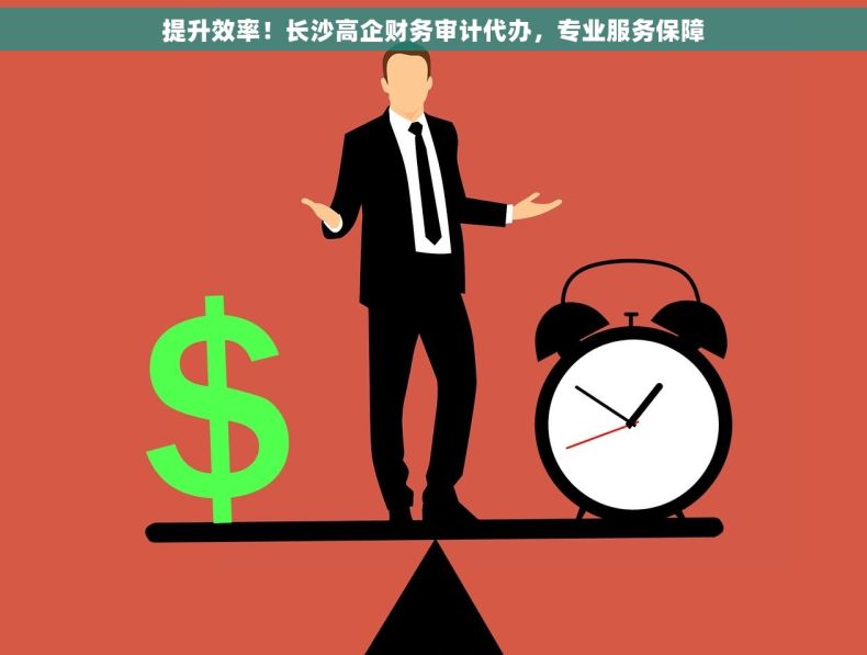 提升效率！长沙高企财务审计代办，专业服务保障