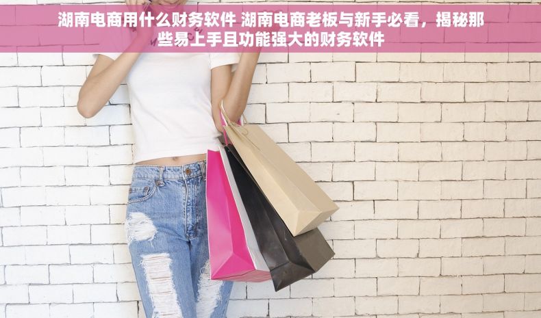 湖南电商用什么财务软件 湖南电商老板与新手必看，揭秘那些易上手且功能强大的财务软件
