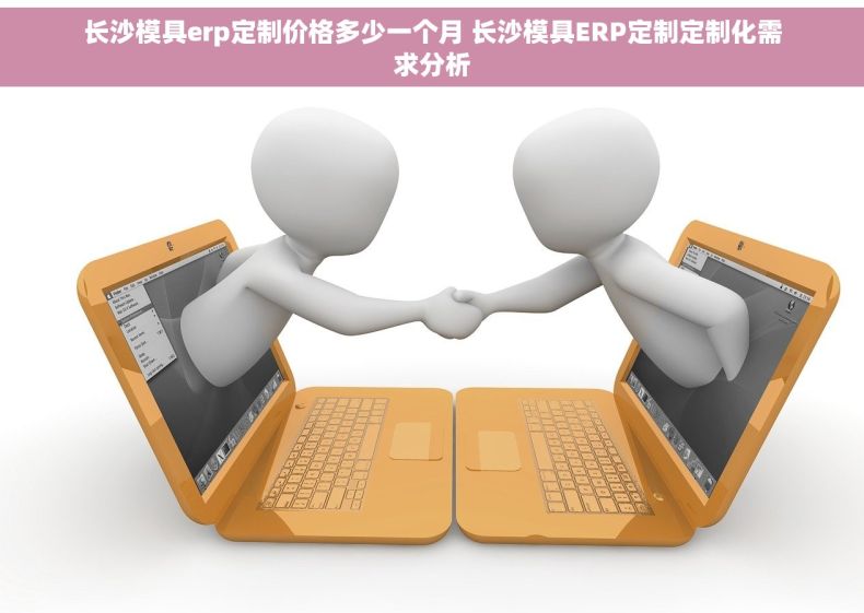 长沙模具erp定制价格多少一个月 长沙模具ERP定制定制化需求分析