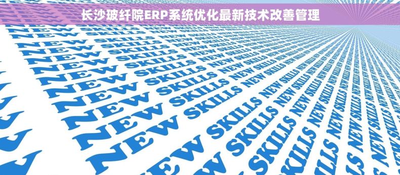长沙玻纤院ERP系统优化最新技术改善管理