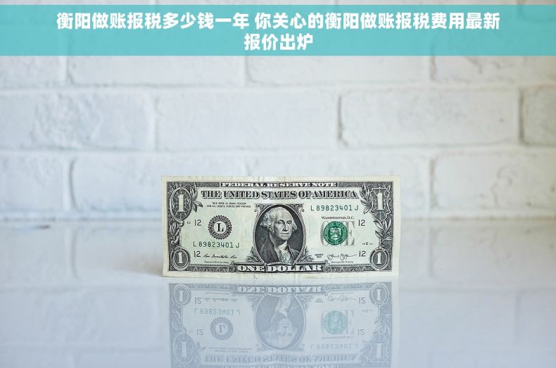 衡阳做账报税多少钱一年 你关心的衡阳做账报税费用最新报价出炉