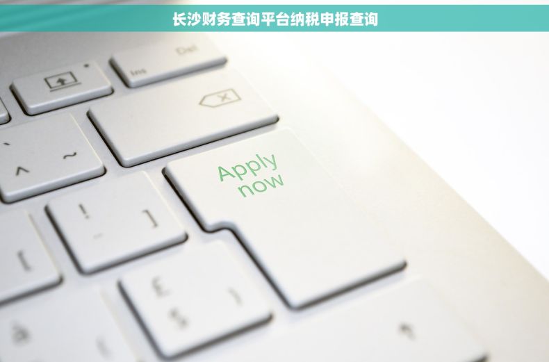 长沙财务查询平台纳税申报查询