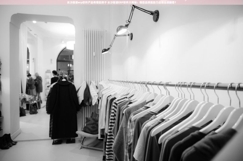 长沙服装erp软件产品有哪些牌子 长沙服装ERP软件大揭秘：哪些品牌能助力店铺业绩翻倍？