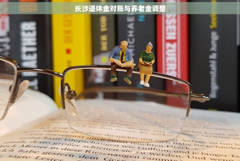 长沙退休金对账与养老金调整