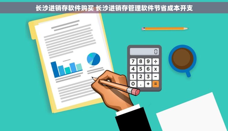 长沙进销存软件购买 长沙进销存管理软件节省成本开支