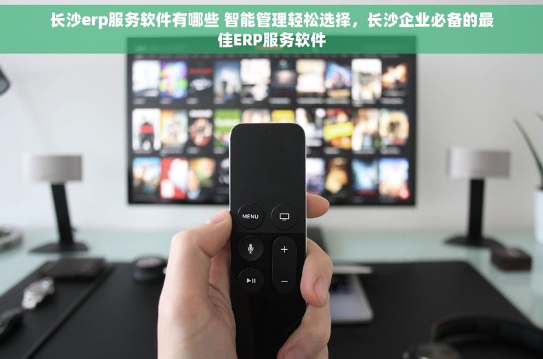 长沙erp服务软件有哪些 智能管理轻松选择，长沙企业必备的最佳ERP服务软件