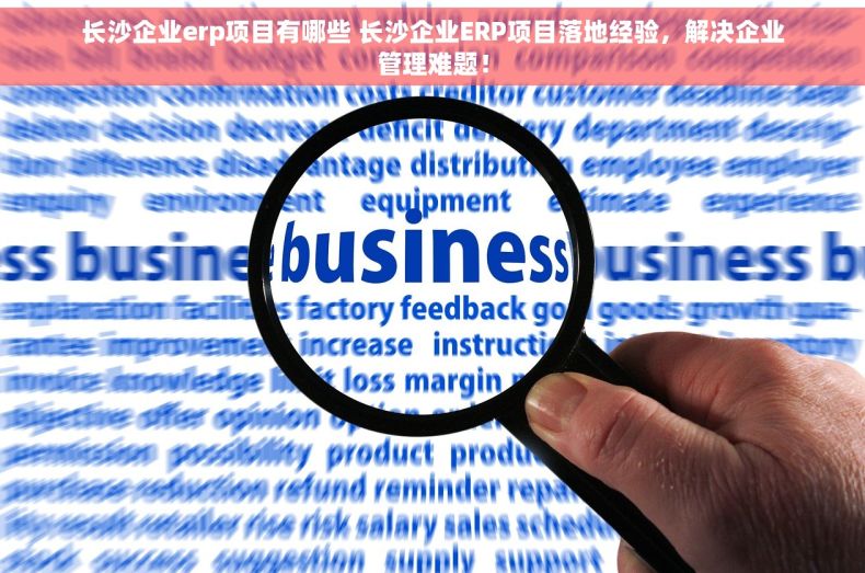 长沙企业erp项目有哪些 长沙企业ERP项目落地经验，解决企业管理难题！