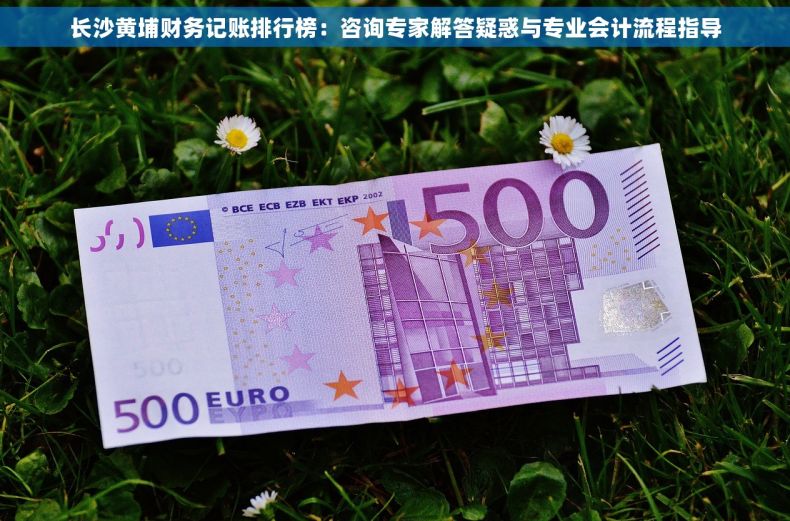 长沙黄埔财务记账排行榜：咨询专家解答疑惑与专业会计流程指导