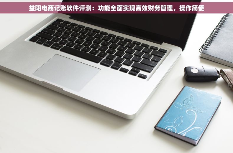 益阳电商记账软件评测：功能全面实现高效财务管理，操作简便
