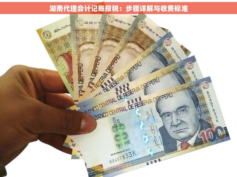 湖南代理会计记账报税：步骤详解与收费标准