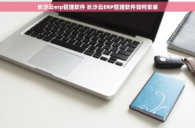 长沙云erp管理软件 长沙云ERP管理软件如何安装