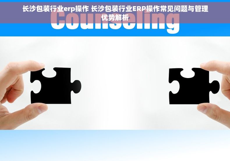 长沙包装行业erp操作 长沙包装行业ERP操作常见问题与管理优势解析