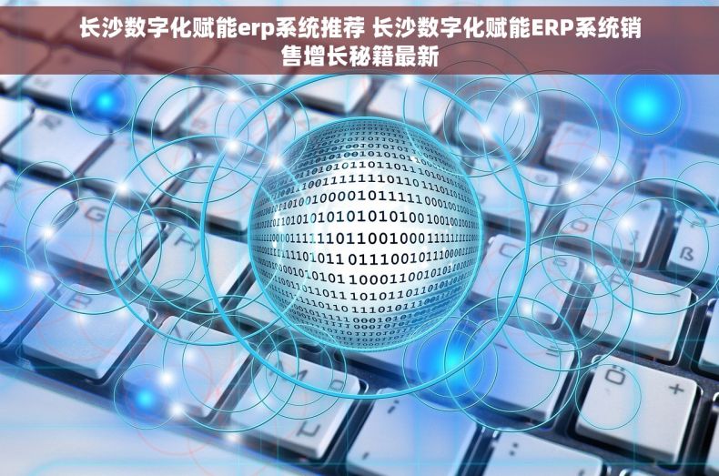 长沙数字化赋能erp系统推荐 长沙数字化赋能ERP系统销售增长秘籍最新