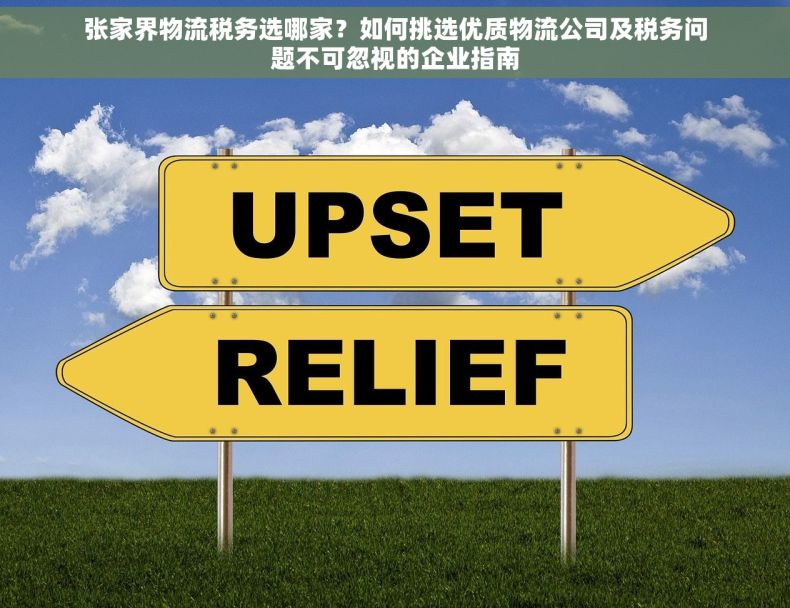 张家界物流税务选哪家？如何挑选优质物流公司及税务问题不可忽视的企业指南