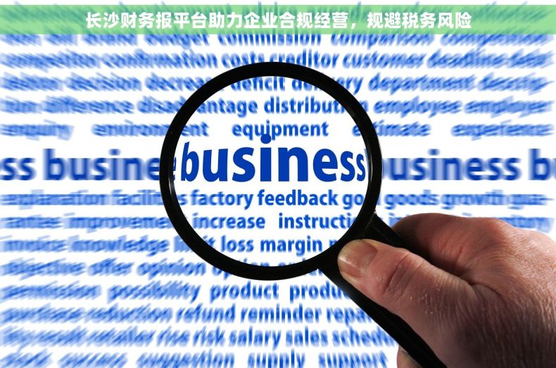 长沙财务报平台助力企业合规经营，规避税务风险
