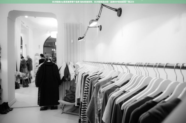 长沙服装erp系统推荐哪个品牌 轻松管理库存，长沙服装店必备！品牌ERP系统助您一臂之力