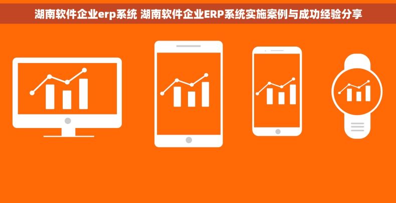 湖南软件企业erp系统 湖南软件企业ERP系统实施案例与成功经验分享