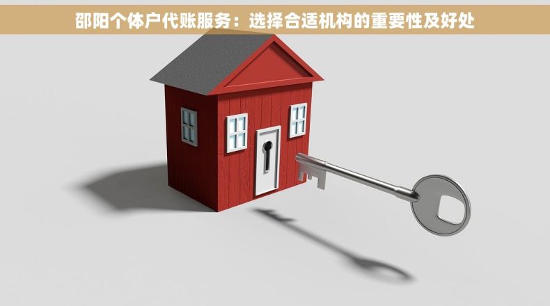 邵阳个体户代账服务：选择合适机构的重要性及好处