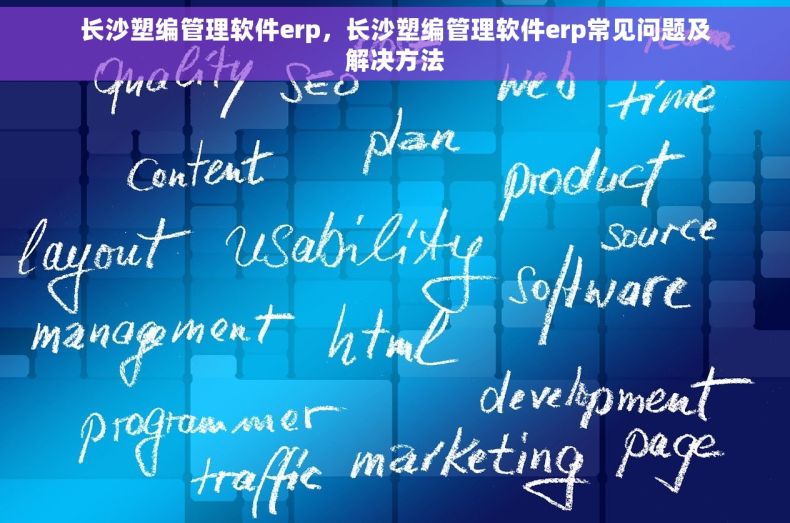 长沙塑编管理软件erp，长沙塑编管理软件erp常见问题及解决方法