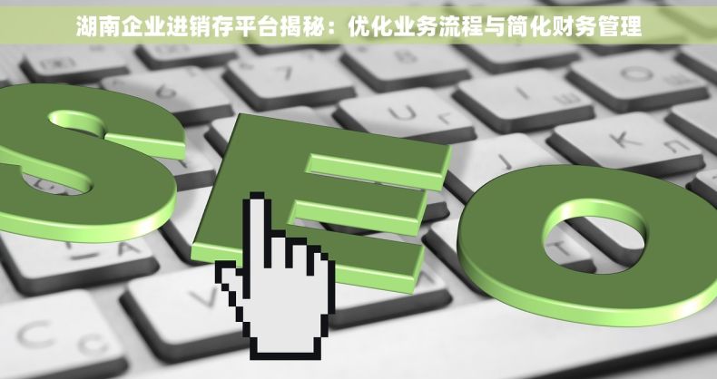 湖南企业进销存平台揭秘：优化业务流程与简化财务管理