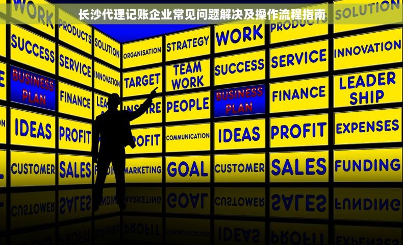长沙代理记账企业常见问题解决及操作流程指南
