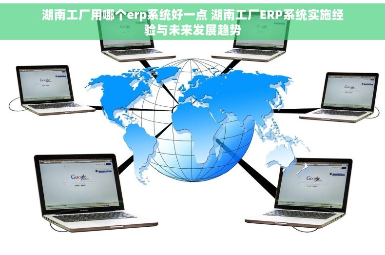 湖南工厂用哪个erp系统好一点 湖南工厂ERP系统实施经验与未来发展趋势