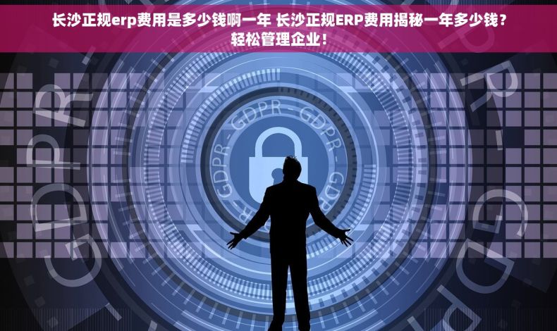 长沙正规erp费用是多少钱啊一年 长沙正规ERP费用揭秘一年多少钱？轻松管理企业！