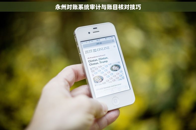 永州对账系统审计与账目核对技巧
