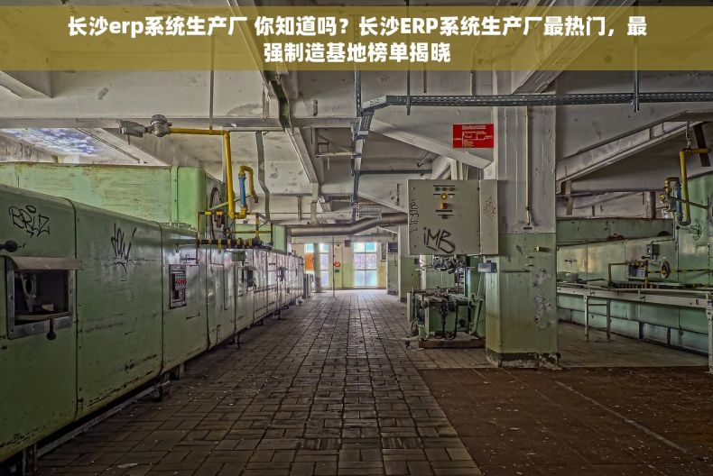 长沙erp系统生产厂 你知道吗？长沙ERP系统生产厂最热门，最强制造基地榜单揭晓