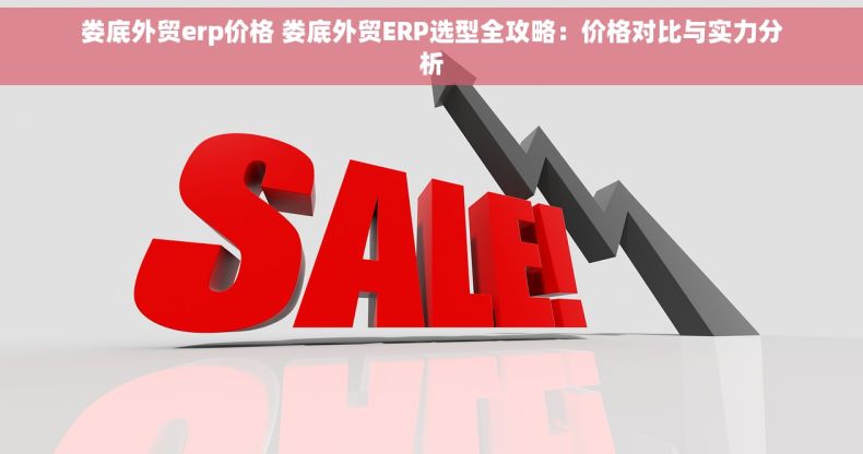 娄底外贸erp价格 娄底外贸ERP选型全攻略：价格对比与实力分析