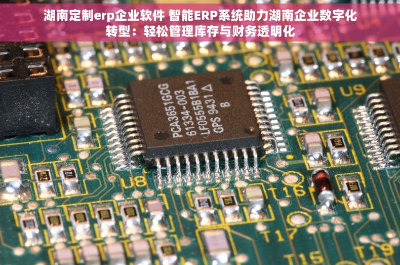 湖南定制erp企业软件 智能ERP系统助力湖南企业数字化转型：轻松管理库存与财务透明化