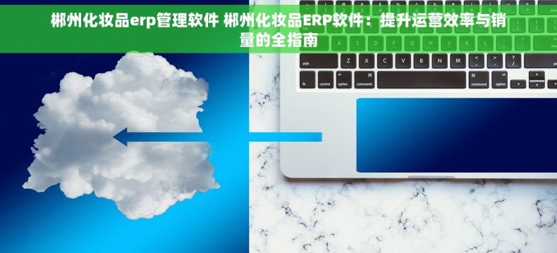 郴州化妆品erp管理软件 郴州化妆品ERP软件：提升运营效率与销量的全指南