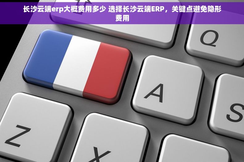 长沙云端erp大概费用多少 选择长沙云端ERP，关键点避免隐形费用