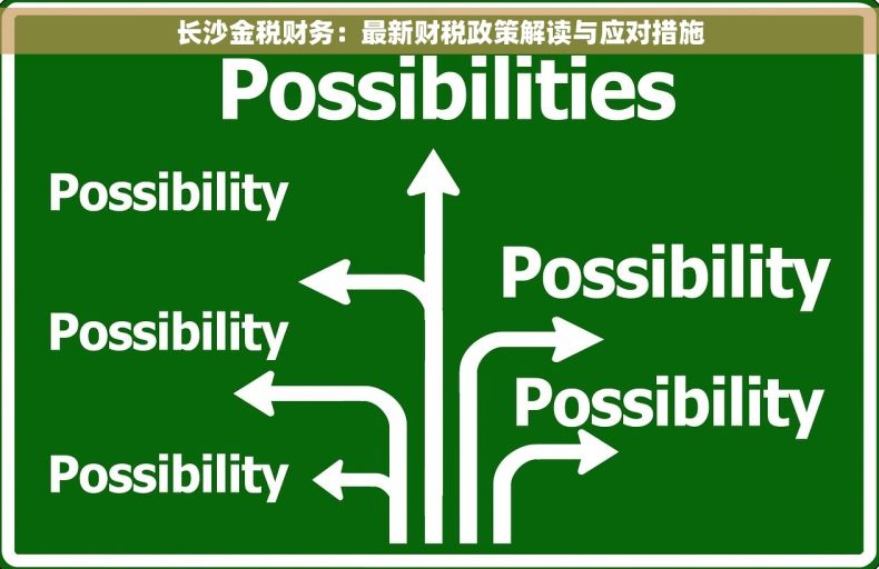 长沙金税财务：最新财税政策解读与应对措施