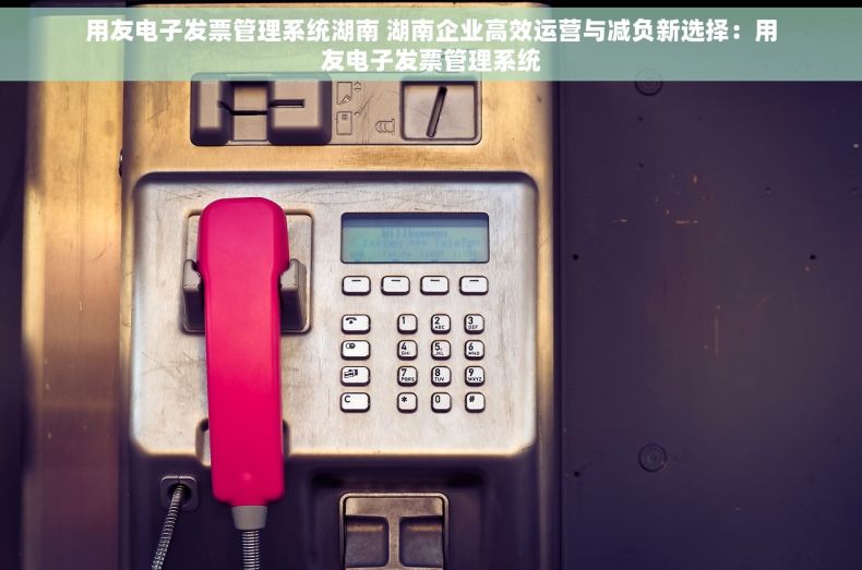 用友电子发票管理系统湖南 湖南企业高效运营与减负新选择：用友电子发票管理系统