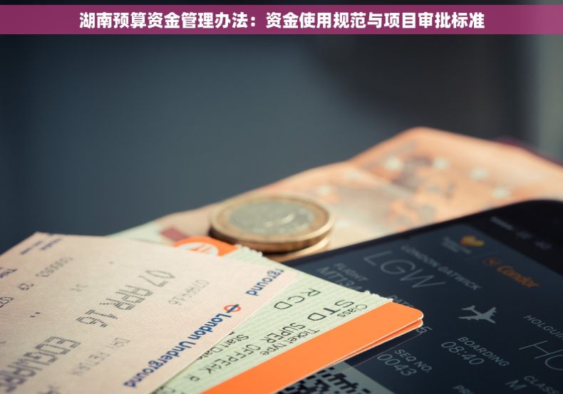 湖南预算资金管理办法：资金使用规范与项目审批标准
