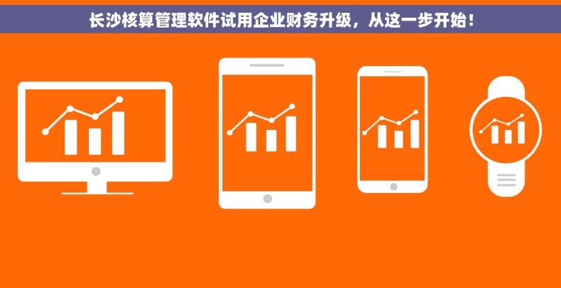 长沙核算管理软件试用企业财务升级，从这一步开始！