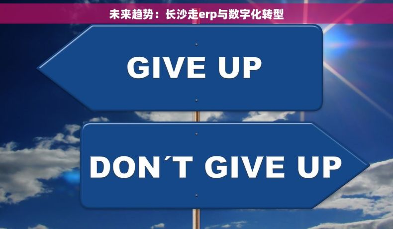 未来趋势：长沙走erp与数字化转型
