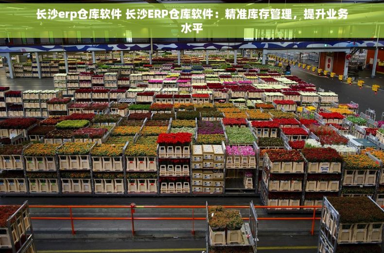 长沙erp仓库软件 长沙ERP仓库软件：精准库存管理，提升业务水平