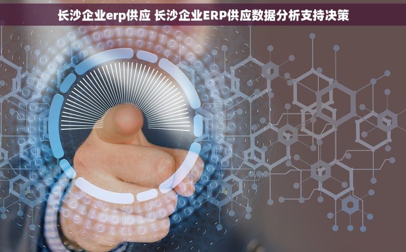 长沙企业erp供应 长沙企业ERP供应数据分析支持决策