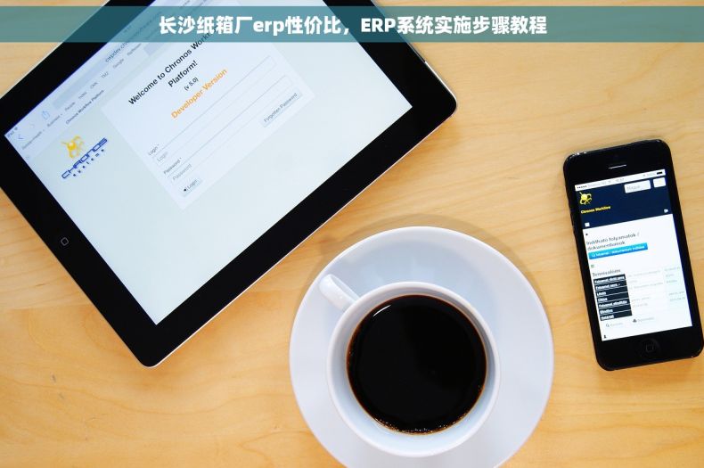 长沙纸箱厂erp性价比，ERP系统实施步骤教程