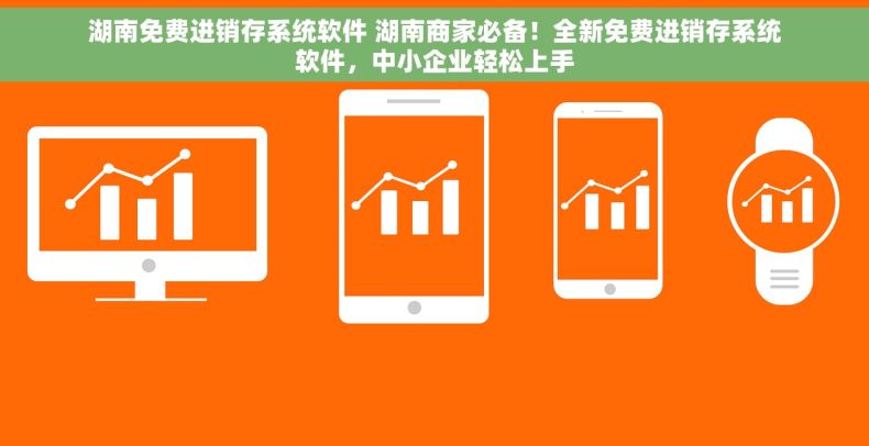 湖南免费进销存系统软件 湖南商家必备！全新免费进销存系统软件，中小企业轻松上手