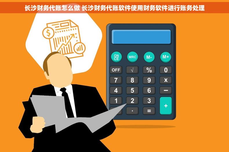 长沙财务代账怎么做 长沙财务代账软件使用财务软件进行账务处理