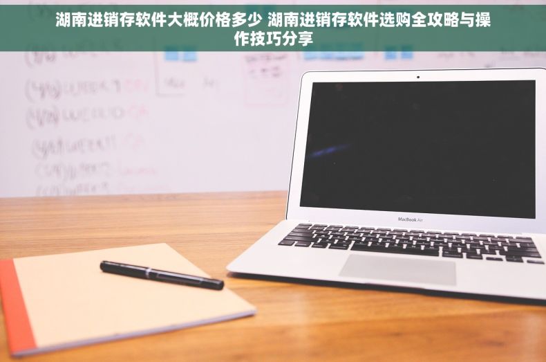 湖南进销存软件大概价格多少 湖南进销存软件选购全攻略与操作技巧分享