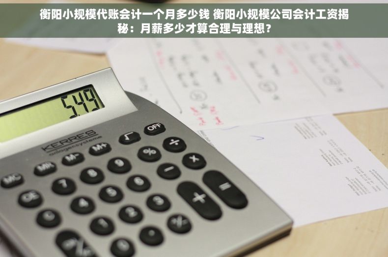 衡阳小规模代账会计一个月多少钱 衡阳小规模公司会计工资揭秘：月薪多少才算合理与理想？