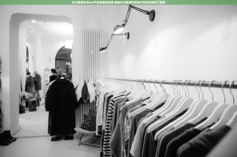 长沙服装外贸erp产品有哪些品牌 揭秘长沙服装外贸ERP市场中的热门品牌