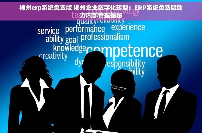 郴州erp系统免费版 郴州企业数字化转型：ERP系统免费版助力内部管理揭秘