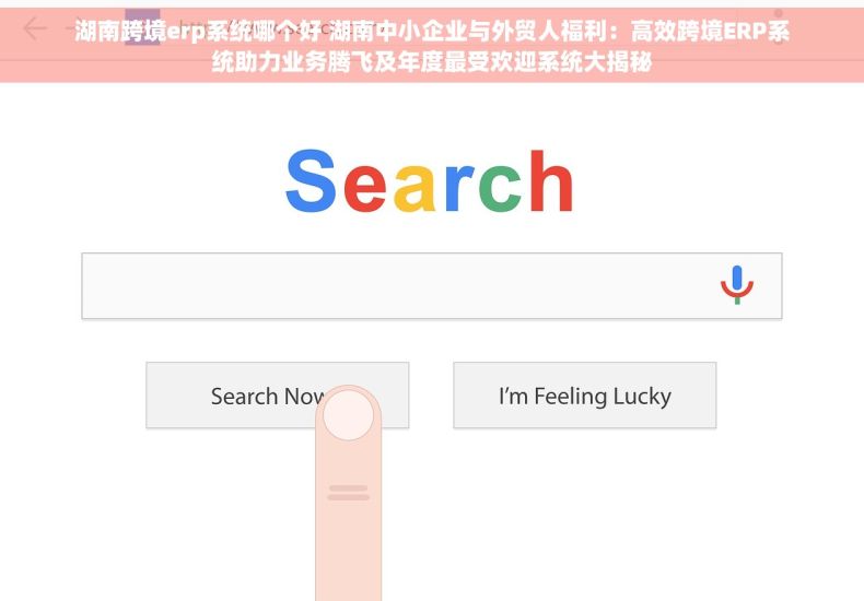 湖南跨境erp系统哪个好 湖南中小企业与外贸人福利：高效跨境ERP系统助力业务腾飞及年度最受欢迎系统大揭秘
